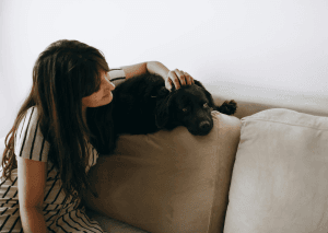 Contact Bhopal Pets Online