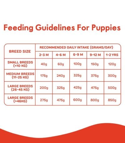1.2kg purple tail puppy food chicken and pumpkin bag at Bhopal Pets Online