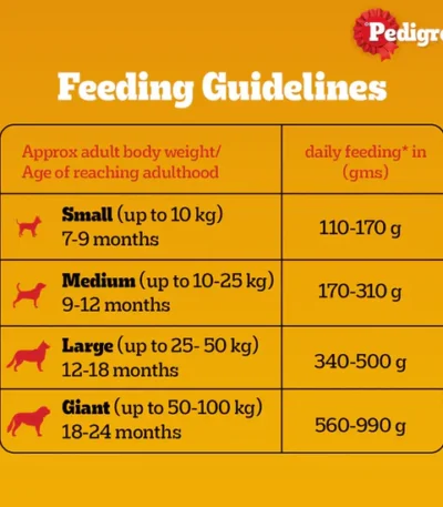 pedigree adult meat and rice 2.8kg pack for healthy dogs at Bhopal Pets Online