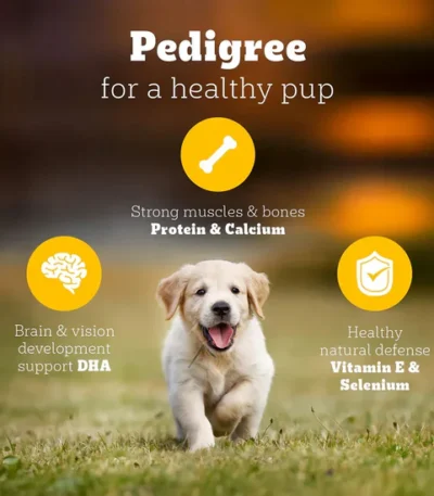 2.8kg pedigree puppy food chicken and milk pack for healthy growth at Bhopal Pets Online
